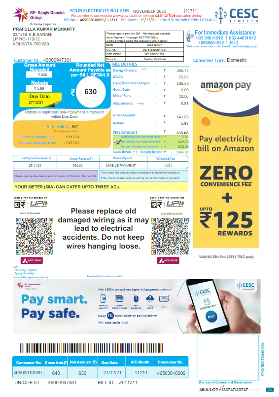 download download INDIA CESC LIMITED utility bill Word and PDF template, version 2 PDF template PDF template
